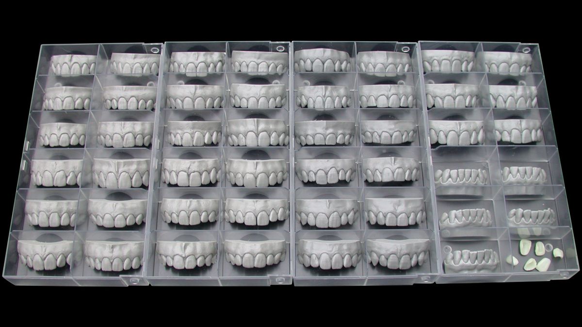 картинка Exocad Tooth Library - дополнительная библиотека естественных зубов от магазина Udentis.ru